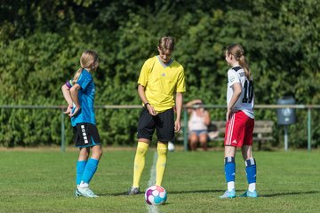 Bild 33 - wBJ VfL Pinneberg - Hamburger SV 2 : Ergebnis: 1:3